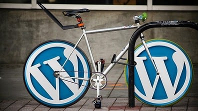 website builder with WordPress.org 
